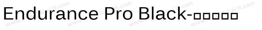Endurance Pro Black字体转换